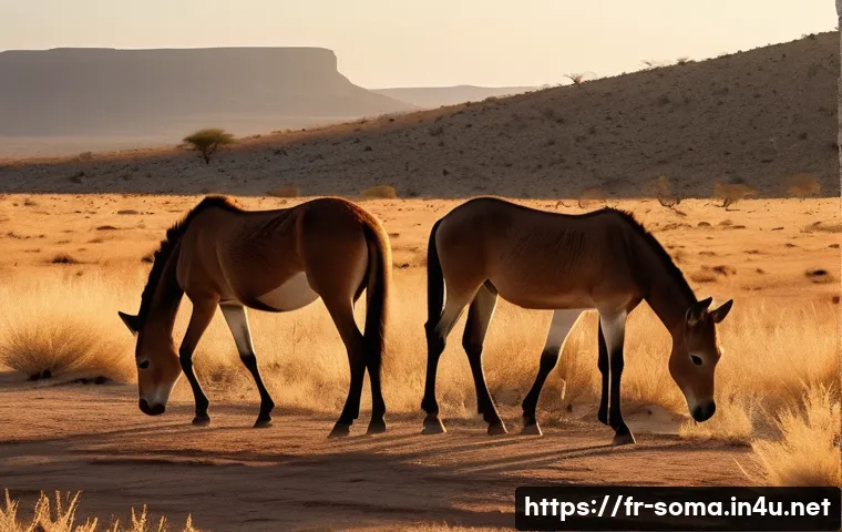 소말리아의 동물 보호 활동 - **Prompt:** A serene and majestic scene in the arid Somali landscape, featuring a small herd of Soma...