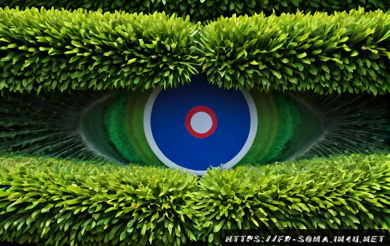 소말리아에서의 교육 기회 관련 이미지 2
